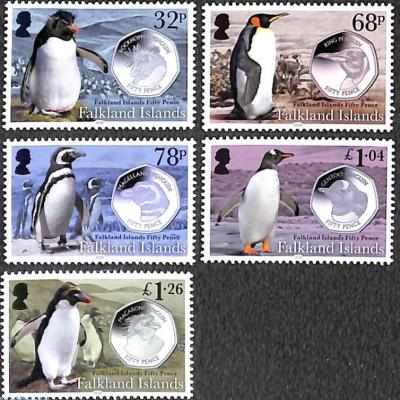 Falkland Islands 2020 -1500.jpg