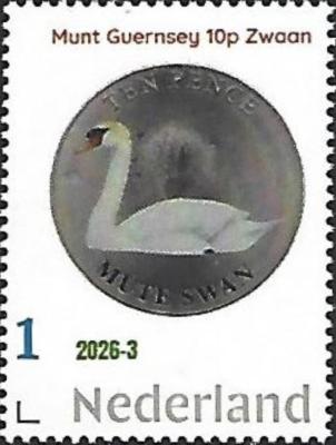 Zwaan.jpg