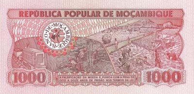1000-1.jpg